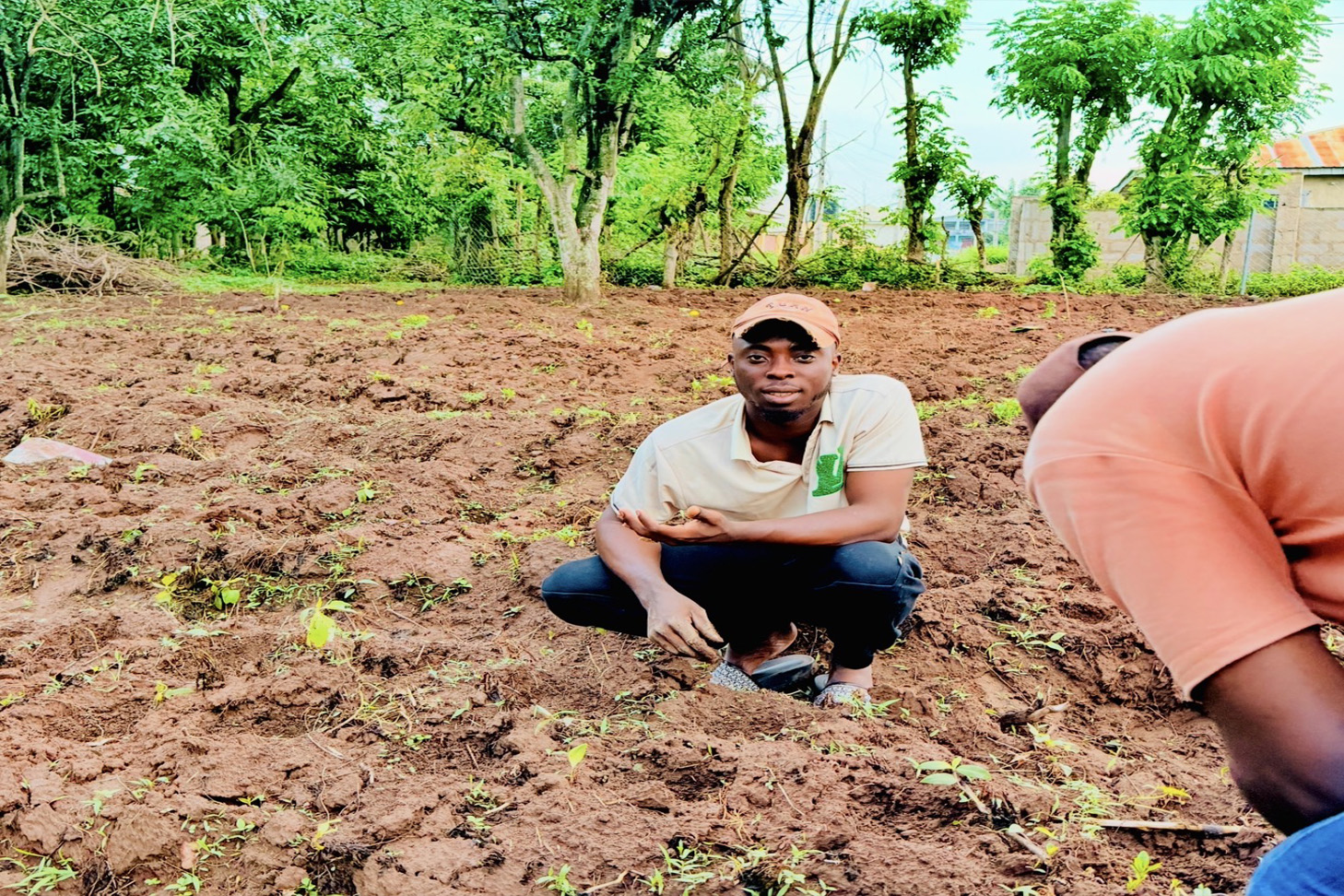 Mechanized farming in Nigeria
